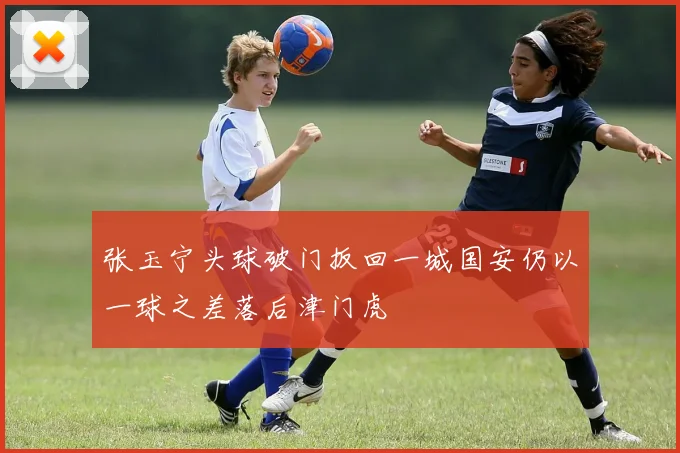 张玉宁头球破门扳回一城国安仍以一球之差落后津门虎
