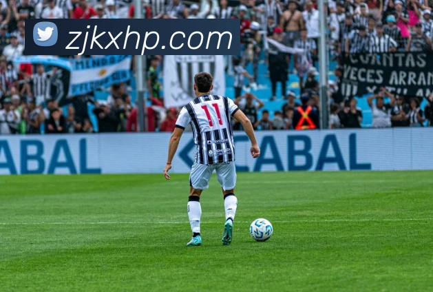 星空官方网站平台平台生态图