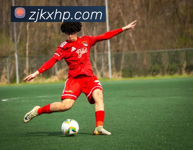 星空官方网站平台全站App